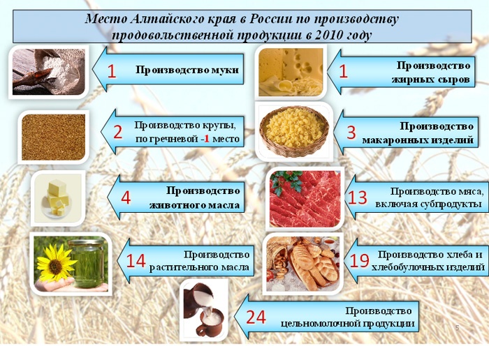 Doc22.ru - Место Алтайского края в России по производству продовольственной продукции в 2010 году