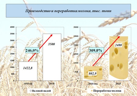 Doc22.ru - инфографика из «Стратегии развития пищевой и перерабатывающей промышленности Алтайского края до 2025 года»