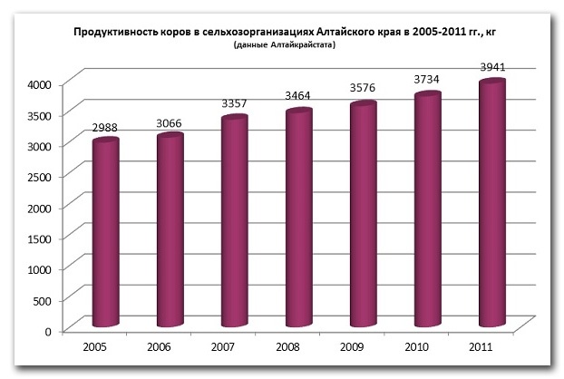 Doc22.ru - В Алтайском крае за последние шесть лет продуктивность коров возросла на 32 процента