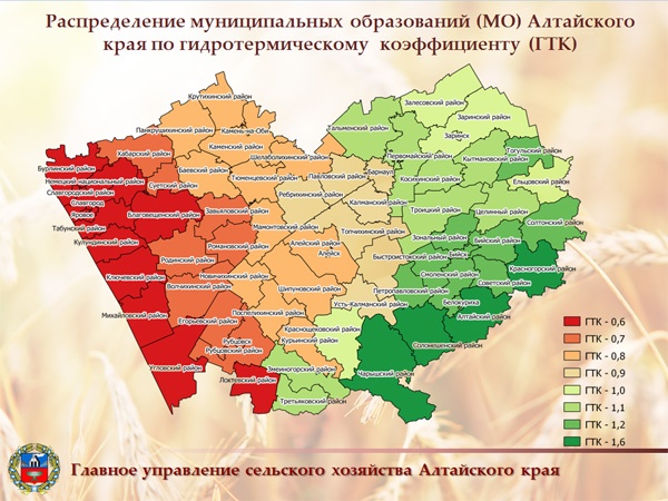 Doc22.ru Распределение муниципальных образований (МО) Алтайского края по гидротермическому  коэффициенту (ГТК)
