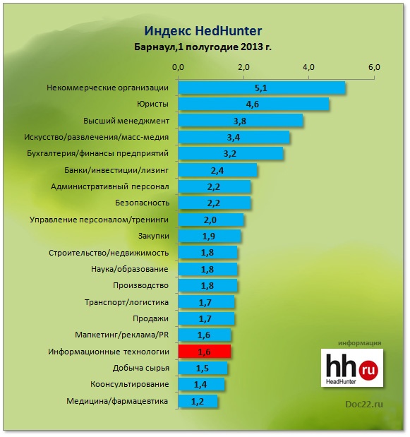 Doc22.ru Индекс HH (HedHanter) для алтайского IT-рынка. 2013 г.