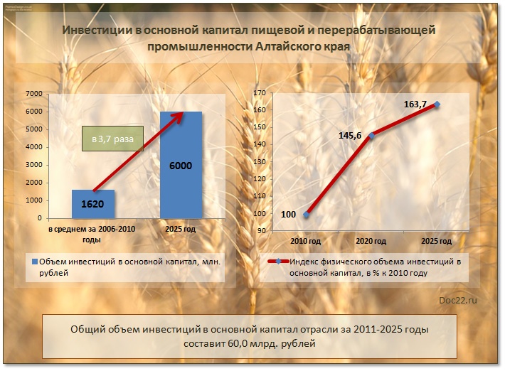 Doc22.ru Инвестиции в основной капитал пищевой и перерабатывающей промышленности Алтайского края 