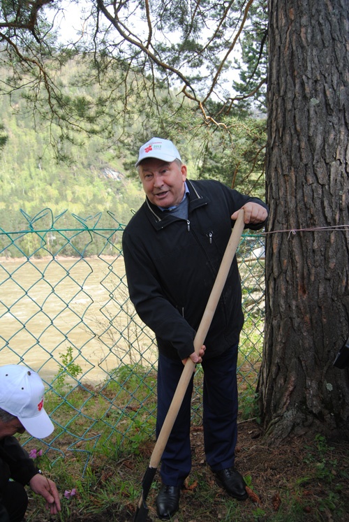 Doc22.ru Губернатор Алтайского края Александр Карлин тоже посадил свое дерево. Праздник «Цветение маральника», май 2013 года. Фото из архива сайта Doc22.