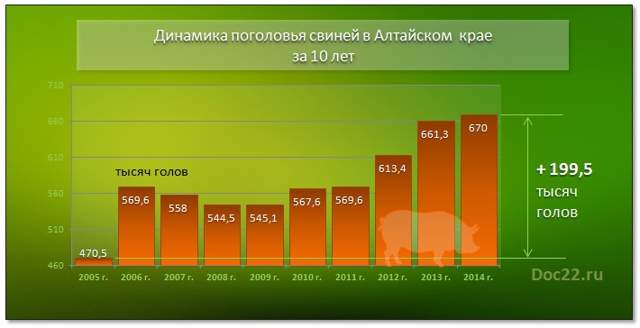 Doc22.ru Динамика поголовья свиней в Алтайском  крае  за 10 лет