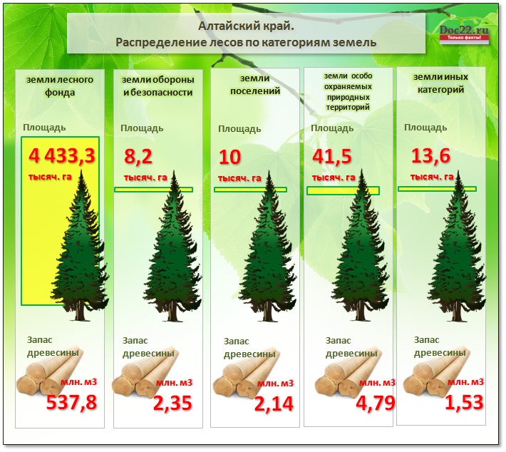 Doc22.ru Алтайский край. Распределение лесов по категориям земель