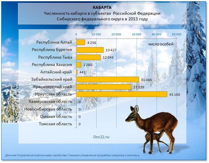 Doc22.ru Численность кабарги в субъектах  Российской Федерации Сибирского федерального округа в 2013 году (особей)