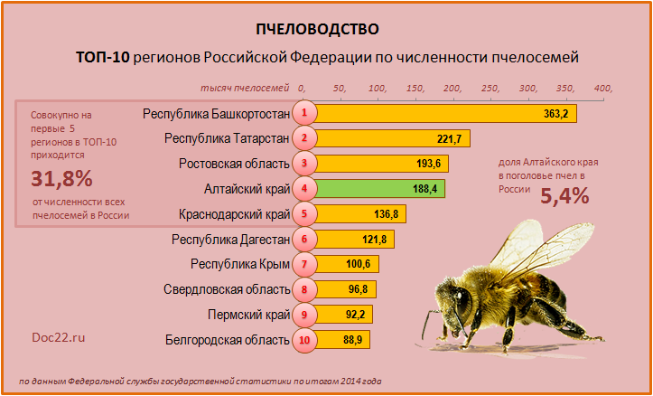 Doc22.ru ТОП-10 регионов Российской Федерации по численности пчелосемей. 2014
