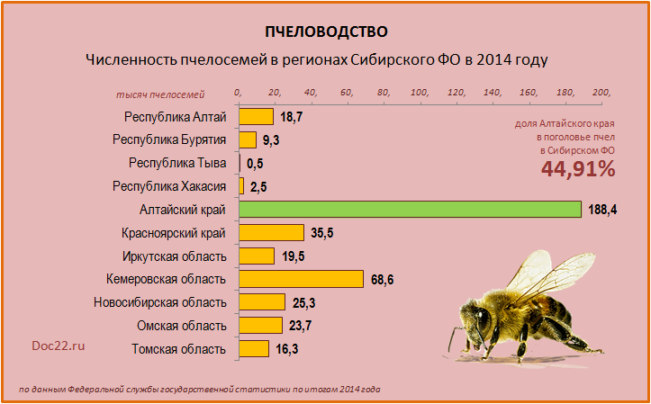 Doc22.ru Пчеловодство. Численность пчелосемей в регионах Сибирского ФО в 2014 году.