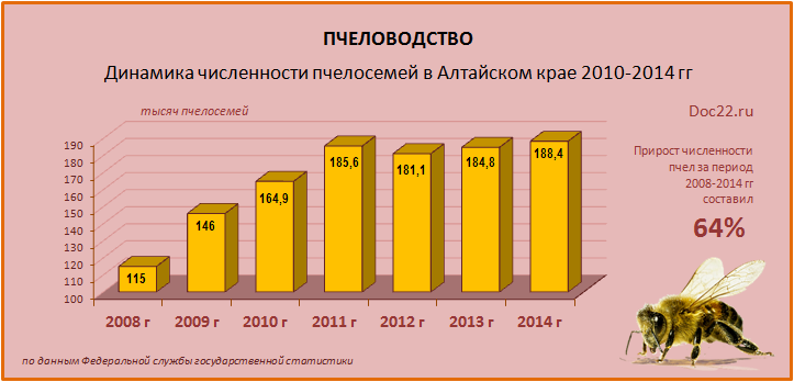Doc22.ru Пчеловодство. Динамика численности пчелосемей в Алтайском крае 2010-2014 гг.