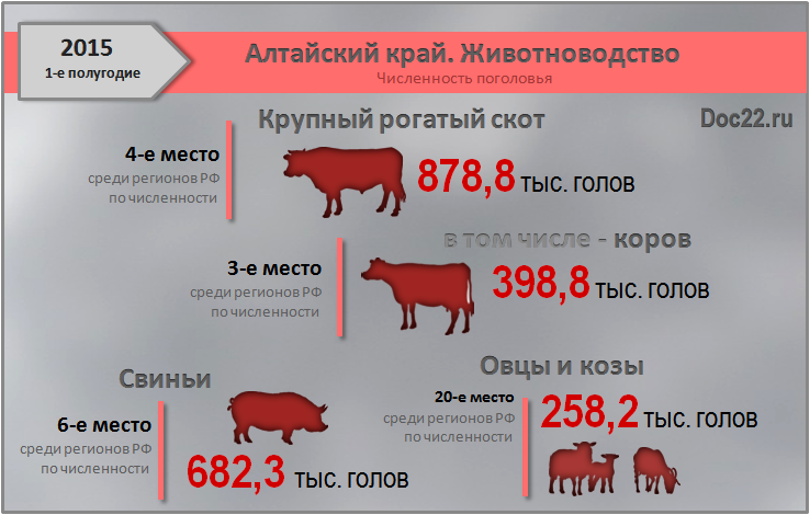 Doc22.ru Алтайский край. Животноводство. Поголовье скота на 1 июля 2015 года.