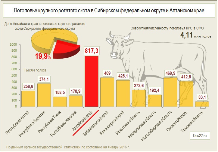 Doc22.ru Поголовье крупного рогатого скота в Сибирском федеральном округе и Алтайском крае. 2016 год.