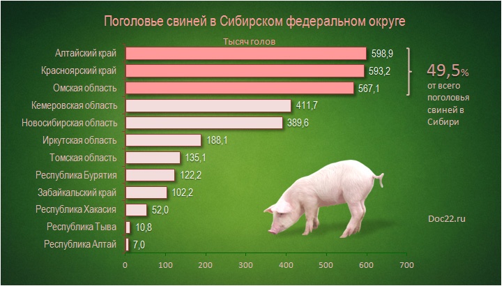 Doc22.ru Животноводство. Поголовье свиней в регионах Сибирского федерального округа. 2015 г.