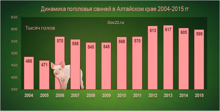 Doc22.ru Животноводство. Динамика поголовья свиней в Алтайском крае, 2004-2015 гг.
