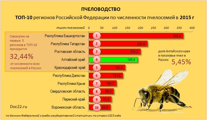 Doc22.ru Пчеловодство. ТОП-10 регионов Российской Федерации по численности пчелосемей в 2015 г.