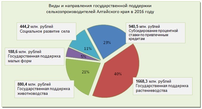 Doc22.ru Виды и направления государственной поддержки сельхозпроизводителей Алтайского края в 2016 году