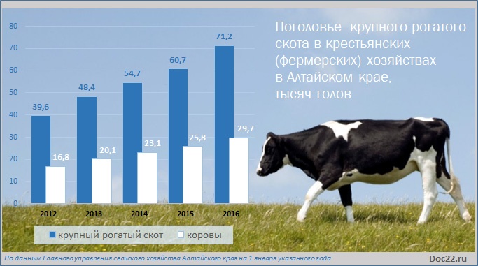 Doc22.ru Поголовье  крупного рогатого скота в крестьянских (фермерских) хозяйствах в Алтайском крае, тысяч голов 