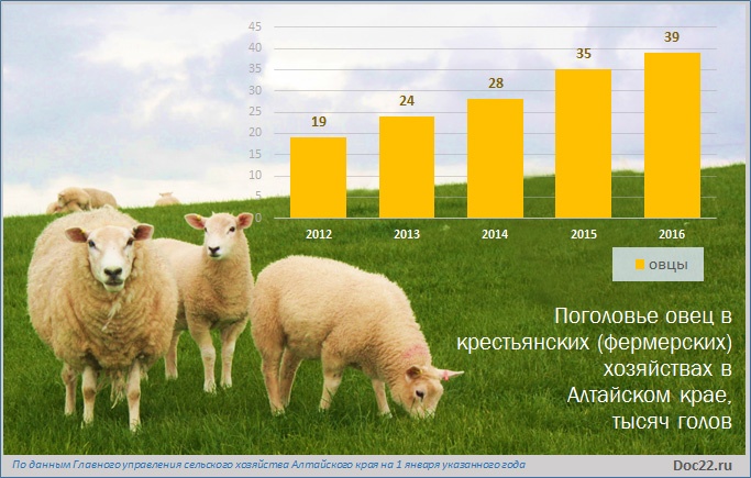 Doc22.ru Поголовье овец в крестьянских (фермерских) хозяйствах в  Алтайском крае, тысяч голов 