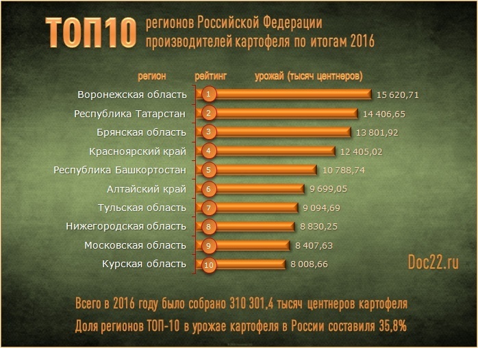 Doc22.ru ТОП10 регионов Российской Федерации производителей картофеля по итогам 2016 года