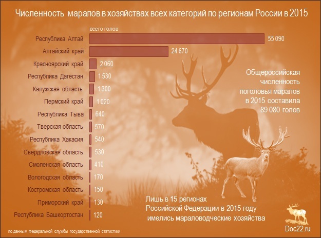 Doc22.ru Численность  маралов в хозяйствах всех категорий по регионам России в 2015