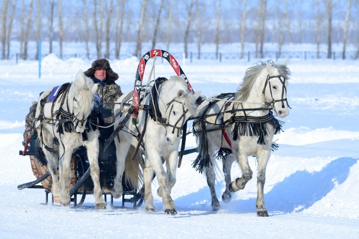 Doc22.ru Одним из самых зрелищных мероприятий «Сибирской масленицы» - конные бега. Фото ОА «Курорт Белокуриха».
