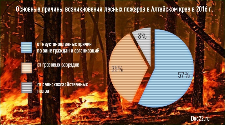 Doc22.ru Основные причины возникновения лесных пожаров в Алтайском крае в 2016 г.