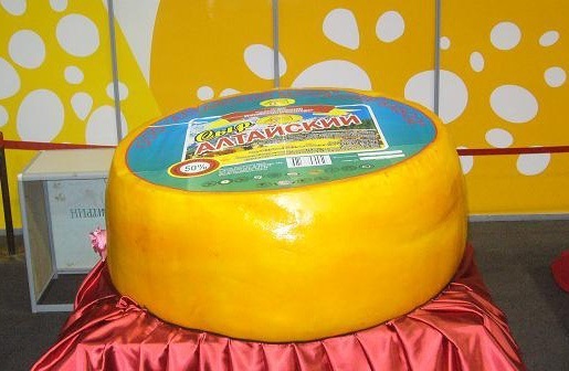 Doc22.ru Сыроделы Алтайского маслосырзавода в 2007 году установили рекорд России, изготовив самую большую сырную голову на 721 кг. Фото Алтайпищпром