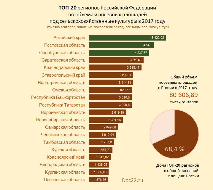 Doc22.ru ТОП-20 регионов Российской Федерации по объемам посевных площадей  под сельскохозяйственные культуры в 2017 году  (тысяча гектаров, значение показателя за год, все виды сельхозкультур)