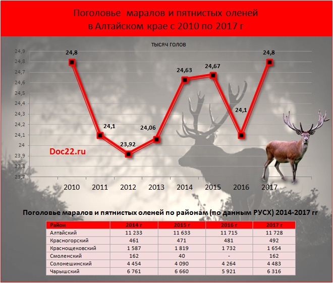 Doc22.ru Поголовье  маралов и пятнистых оленей в Алтайском крае с 2010 по 2017 г, тыс. голов