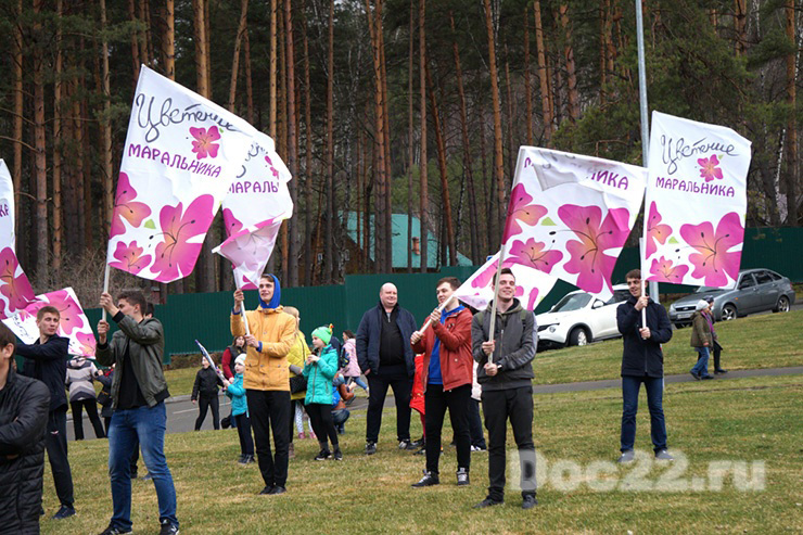Doc22.ru Праздник «Цветение маральника» традиционно открывает летний туристический сезон на Алтае.