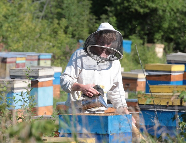 Doc22.ru В Алтайском крае действует уже несколько сельхозкооперативов пчеловодов, первый был создан еще в 2011 году. Фото пресс-службы Губернатора Алтайского края