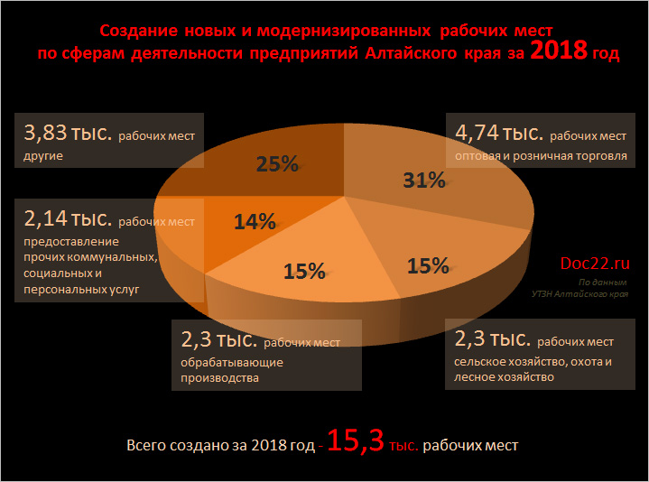 Doc22.ru Создание новых и модернизированных рабочих мест  по сферам деятельности предприятий Алтайского края за 2018 год