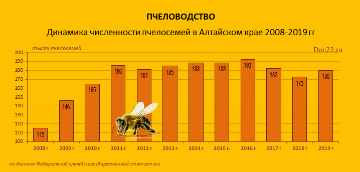 Doc22.ru Пчеловодство. Динамика численности пчелосемей в Алтайском крае 2008-2019 гг.